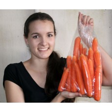 NEW SEASONS SPRING CARROTS 2 KG Bag Pukekohe Grown